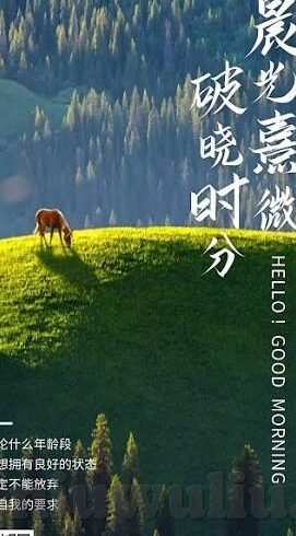 麻豆视传媒短视频网站 -入口-解锁数字娱乐新视界，麻豆视传媒短视频网站入口指南