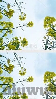 麻豆网站传媒免费下载-解锁多元娱乐新体验——免费畅游麻豆网站传媒下载乐园